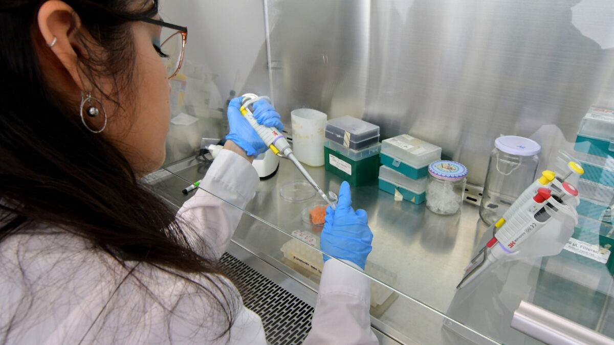 Dra. Ivonne Torres: ¿Cómo me enamoré de las ciencias?
